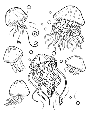 Multiple Jellyfish Coloring Page
