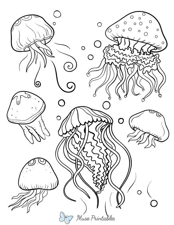 Multiple Jellyfish Coloring Page