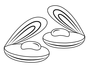 Mussels Coloring Page