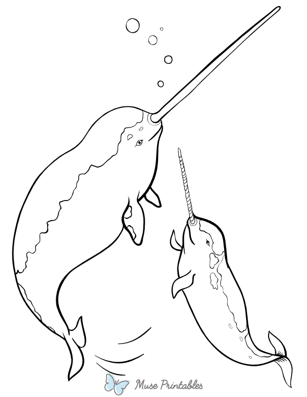 Narwhal Mother and Baby Coloring Page