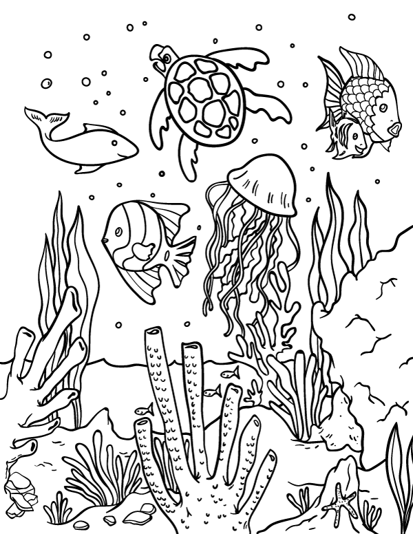 Download Ocean Habitat Pages Coloring Sketch Coloring Page
