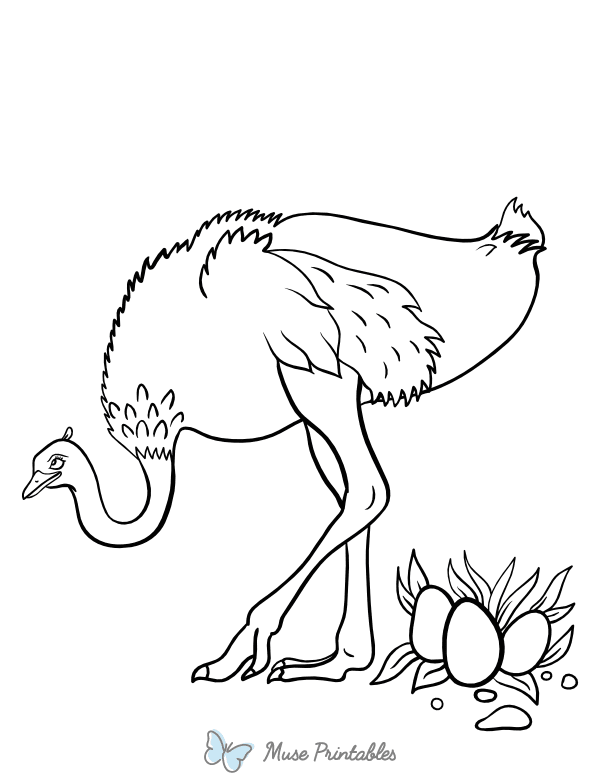 Ostrich Coloring Page