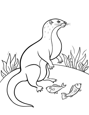 Otter and Fish Coloring Page