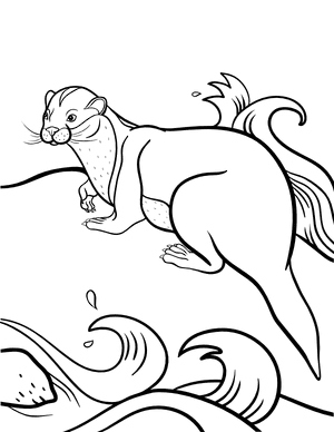 Otter Coloring Page