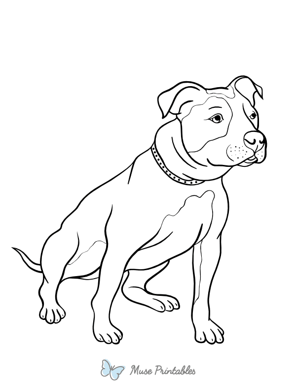 Pit Bull Coloring Page