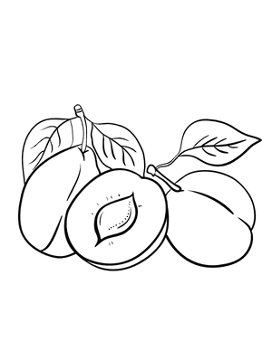Plum Coloring Page