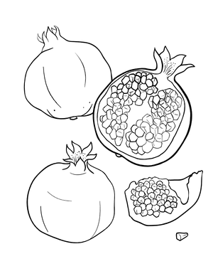 Pomegranate Coloring Page