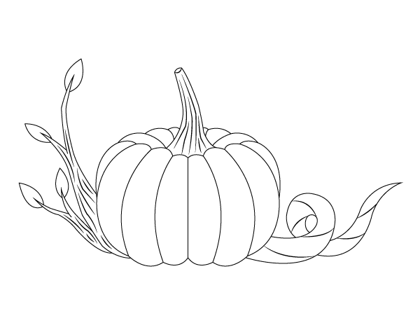 Pumpkin and Vine Coloring Page