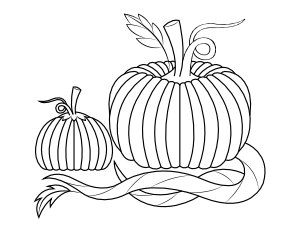 Pumpkins and Vines Coloring Page