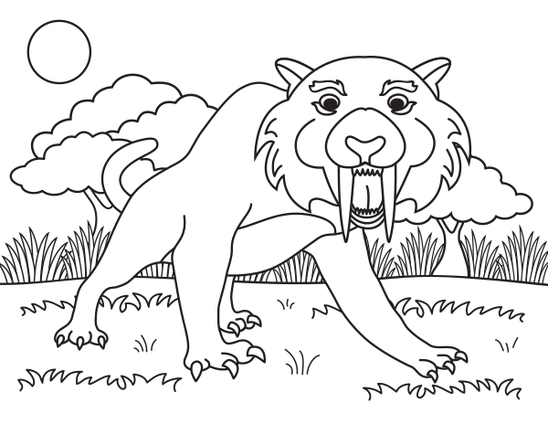 Sabre Tooth Tiger Coloring Page