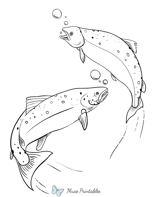 Salmon Coloring Page