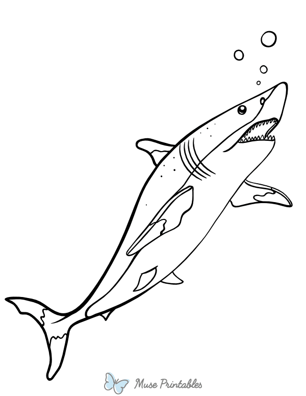 Shark and Bubbles Coloring Page