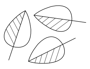 Simple Leaves Coloring Page