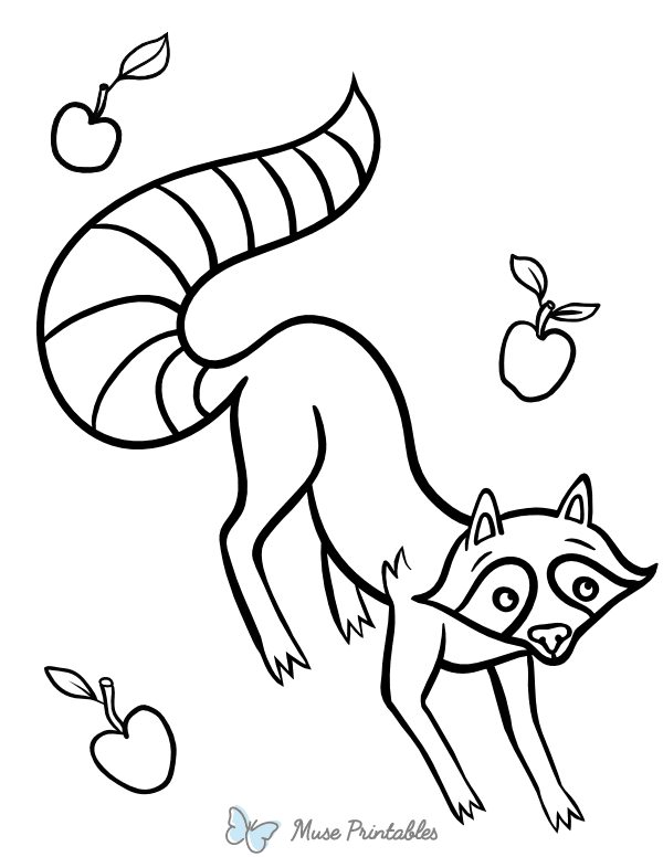Simple Raccoon Coloring Page