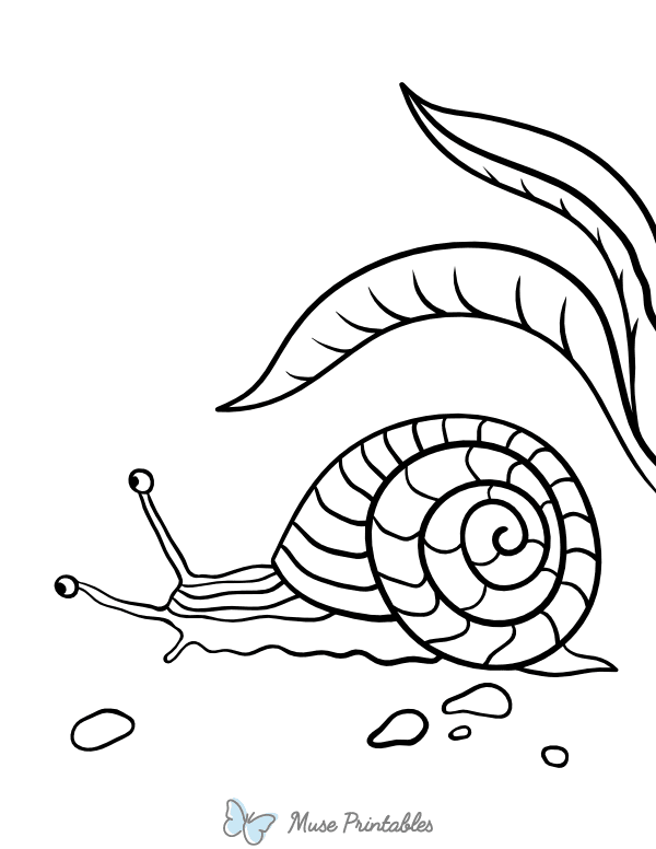 Simple Snail Coloring Page