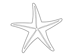 Simple Starfish Coloring Page