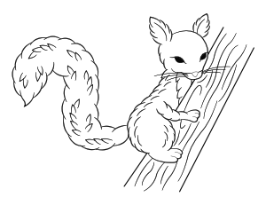 Squirrel Climbing Branch Coloring Page