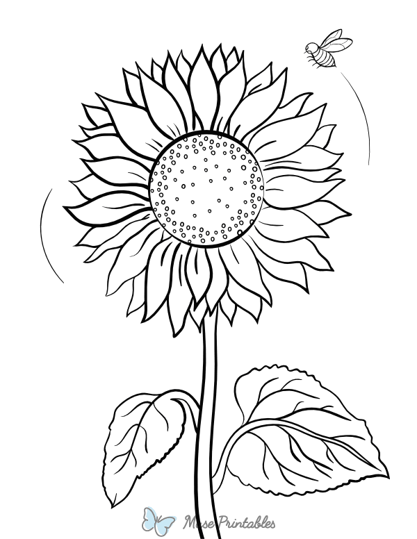 Sunflower and Bee Coloring Page