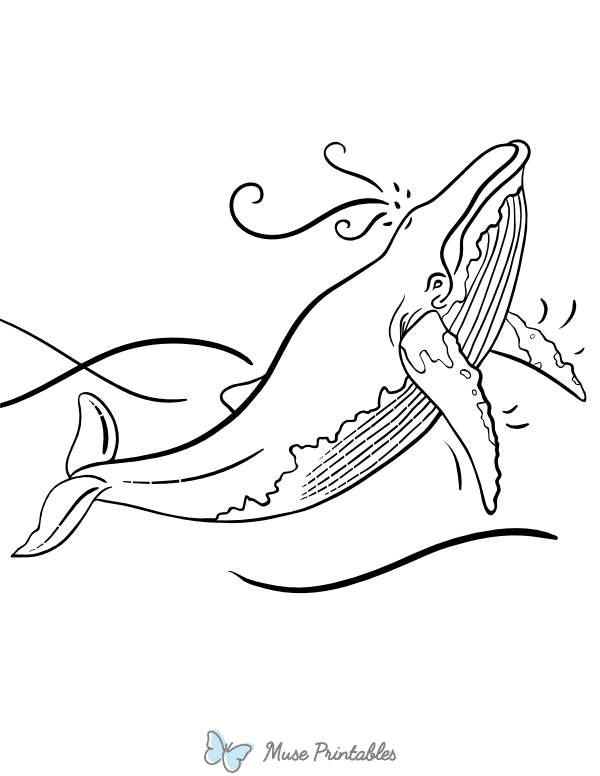 Surfacing Whale Coloring Page