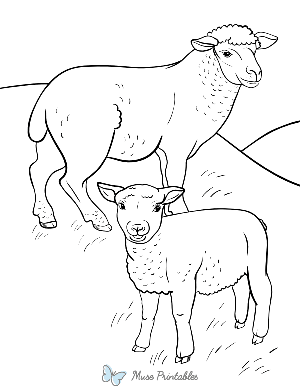 Two Sheep Coloring Page