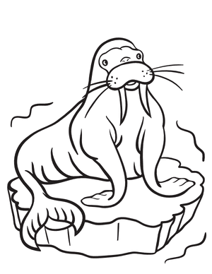 Walrus on Ice Coloring Page