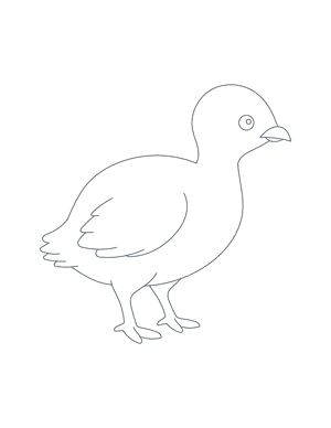 Baby Turkey Outline Craft Template