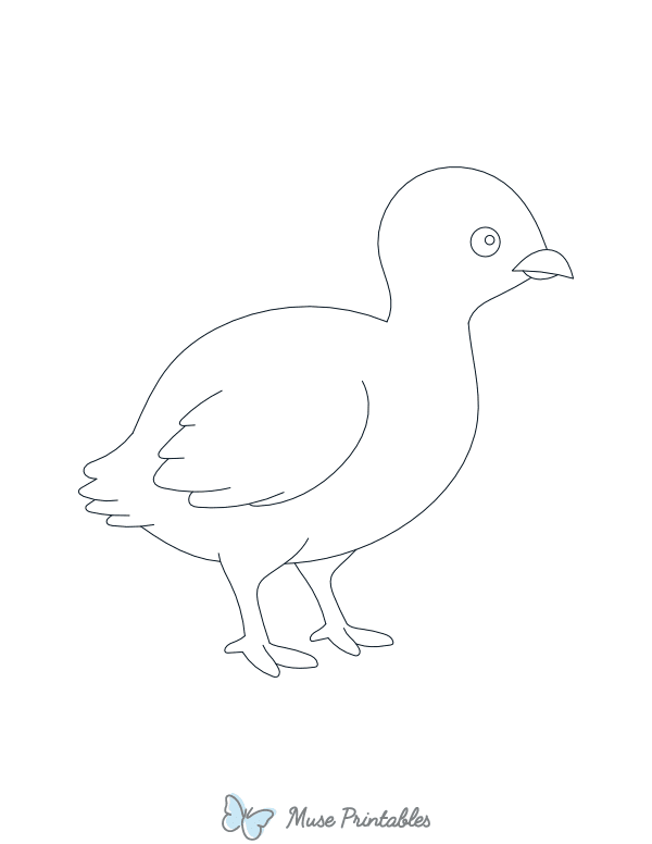 Baby Turkey Outline Craft Template