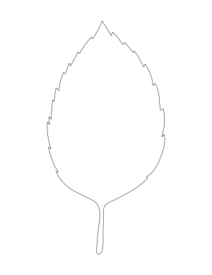 Beech Leaf Shape Outline Craft Template Printable