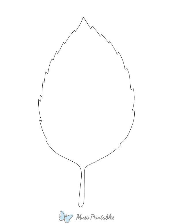 Beech Leaf Shape Outline Craft Template