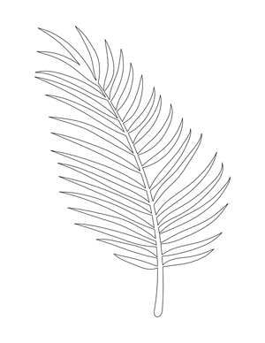 Coconut Leaf Shape Outline Craft Template Printable