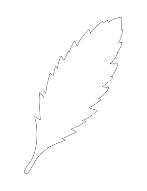 Daisy Leaf Shape Outline Craft Template Printable