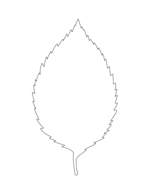 Elm Leaf Shape Outline Craft Template Printable