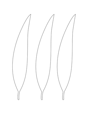 Eucalyptus Leaf Shape Outline Craft Template Printable