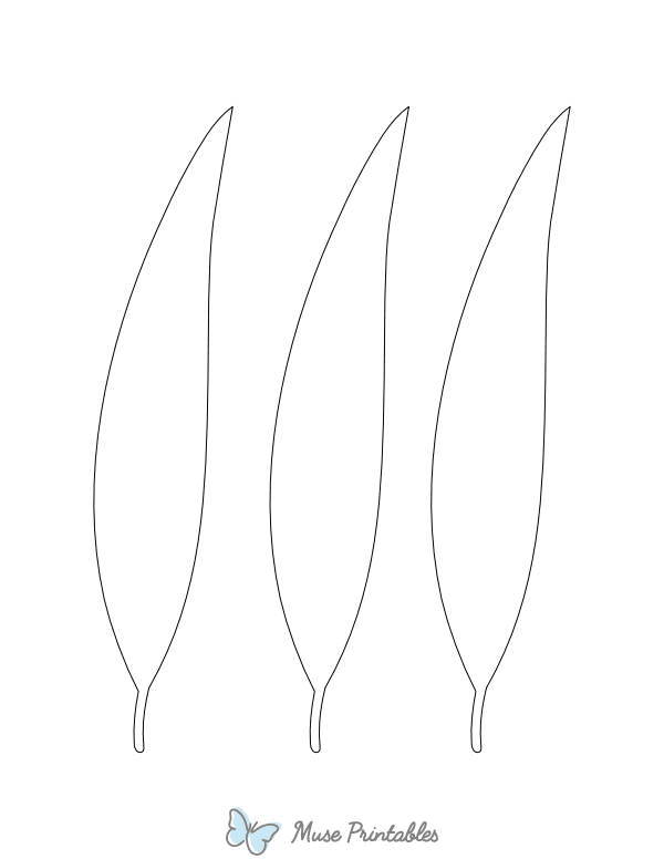 Eucalyptus Leaf Shape Outline Craft Template