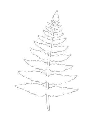 Fern Leaf Shape Outline Craft Template Printable