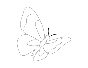 Flying Butterfly Outline Craft Template Printable