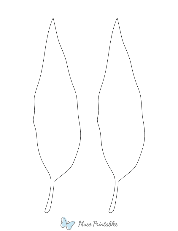 Gum Leaf Shape Outline Craft Template