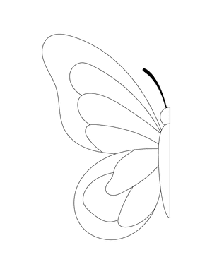Half Butterfly Outline Craft Template Printable