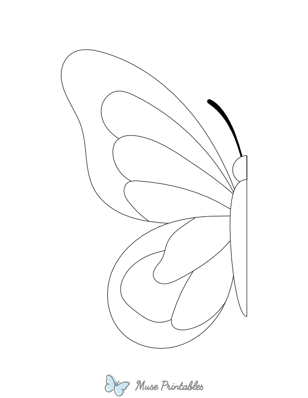 Half Butterfly Outline Craft Template Printable