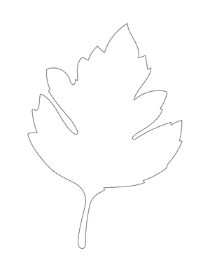 Hawthorn Leaf Shape Outline Craft Template Printable