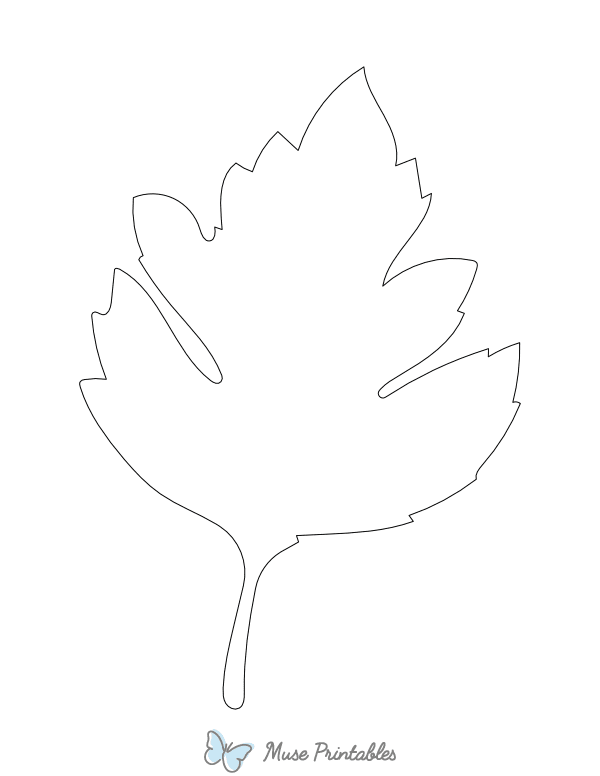 Hawthorn Leaf Shape Outline Craft Template