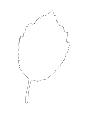 Hazel Leaf Shape Outline Craft Template Printable