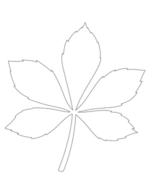 Horse Chestnut Leaf Shape Outline Craft Template