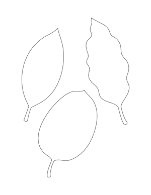 Leaves Shape Outline Craft Template Printable