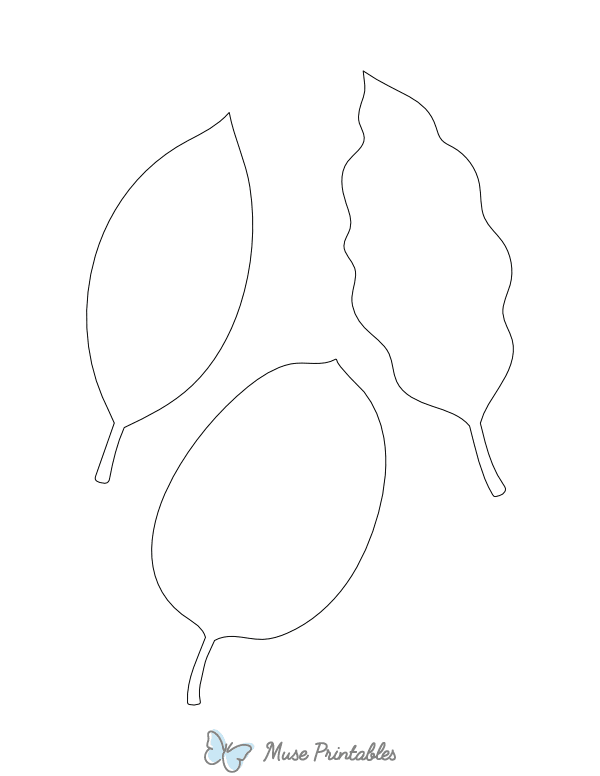 Leaves Shape Outline Craft Template
