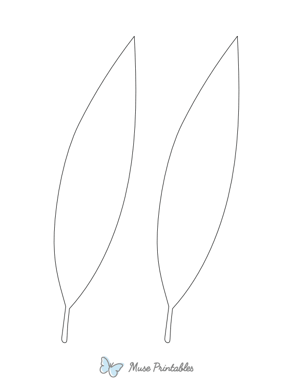 Lily Leaf Shape Outline Craft Template