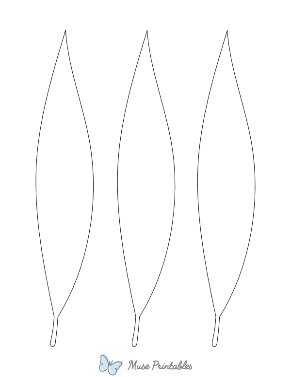 Long Leaf Shape Outline Craft Template