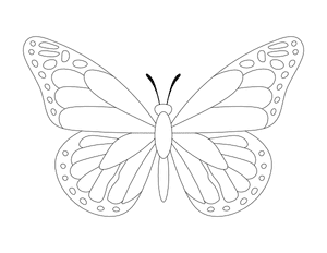 Monarch Butterfly Outline Craft Template Printable