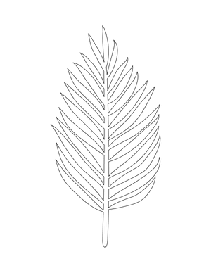 Palm Leaf Shape Outline Craft Template Printable