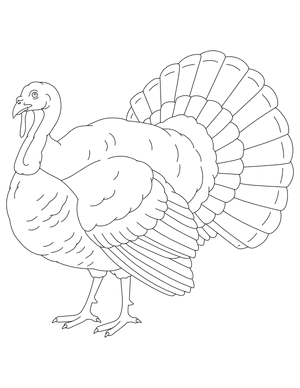 Realistic Turkey Outline Craft Template